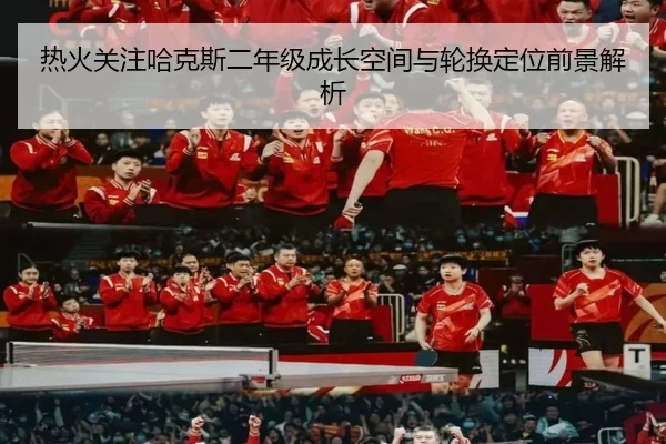 热火关注哈克斯二年级成长空间与轮换定位前景解析