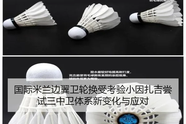 国际米兰边翼卫轮换受考验小因扎吉尝试三中卫体系新变化与应对
